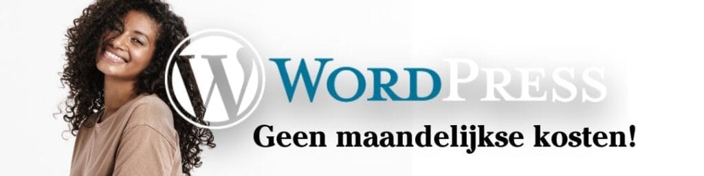 website laten maken haarlem